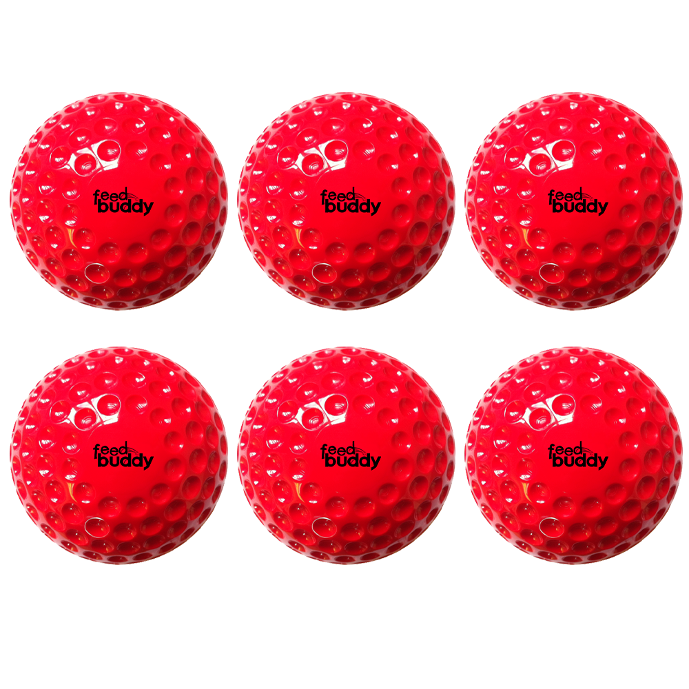 Feed Buddy Balls (6 in pack)