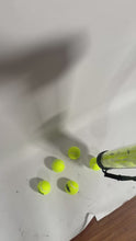 Load and play video in Gallery viewer, Feed Buddy Tennis Ball Collector
